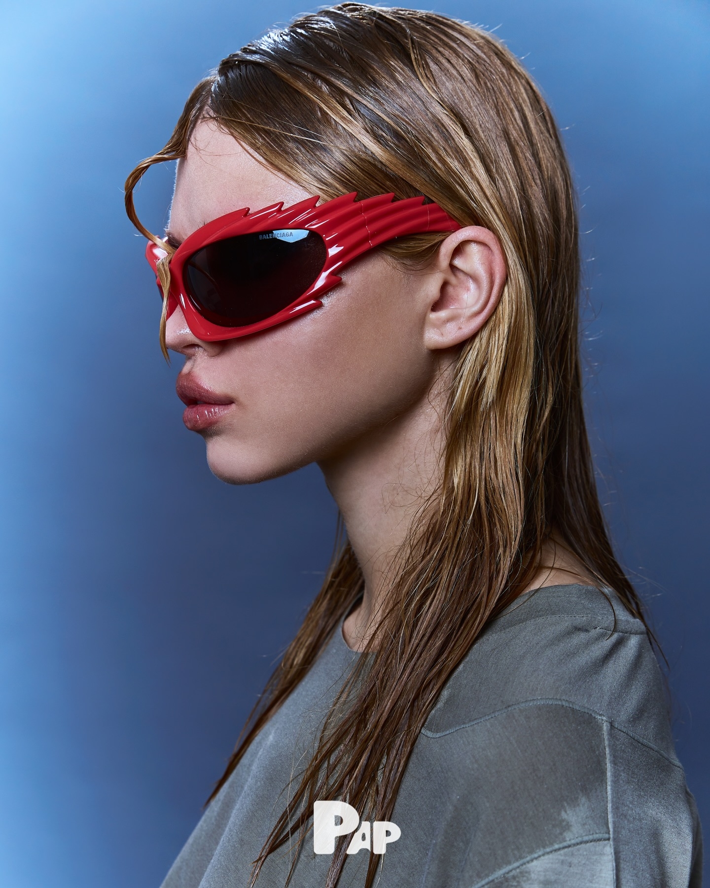 Model Image