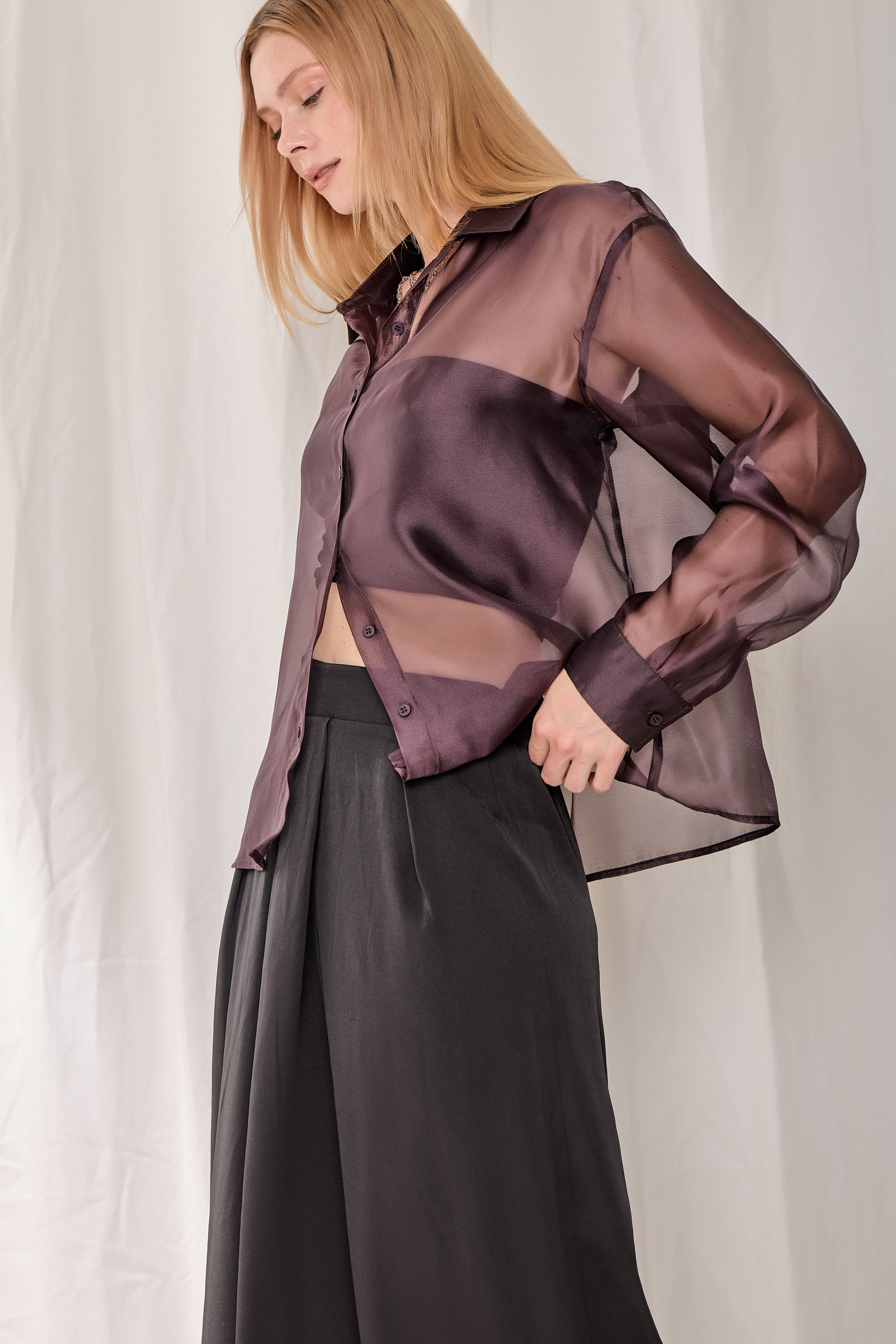 Model Image