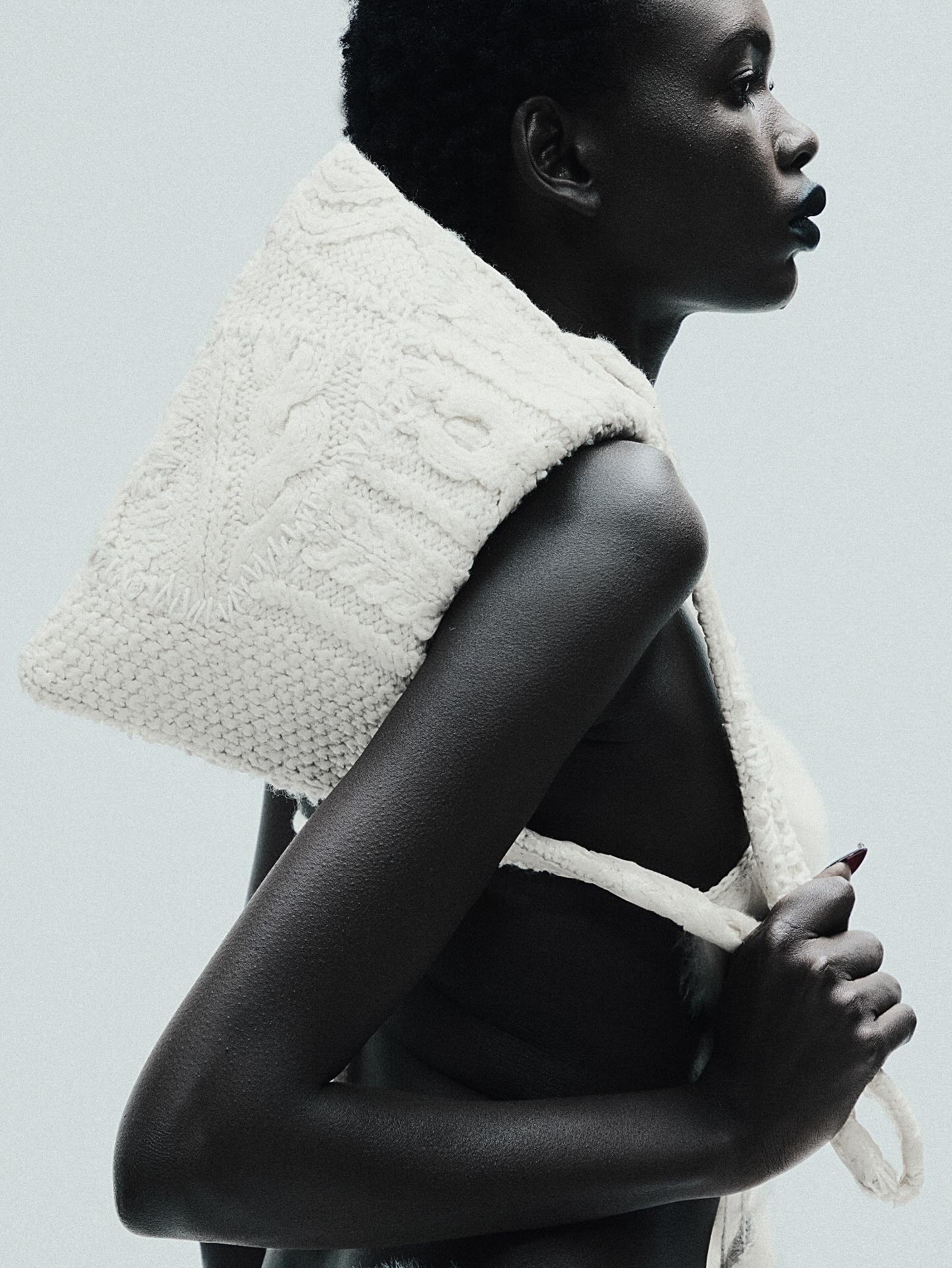 Model Image