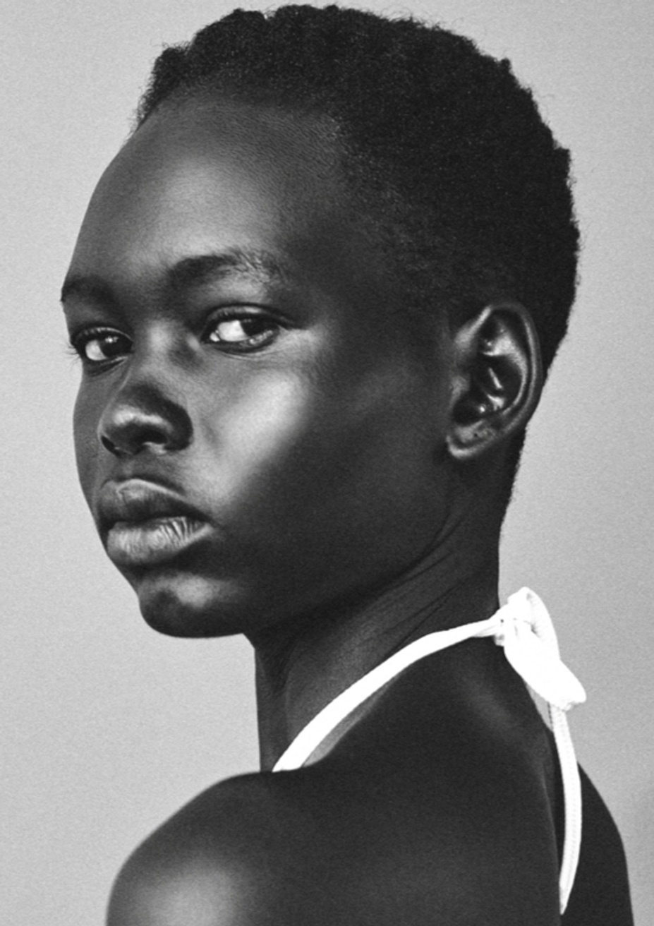 Model Image