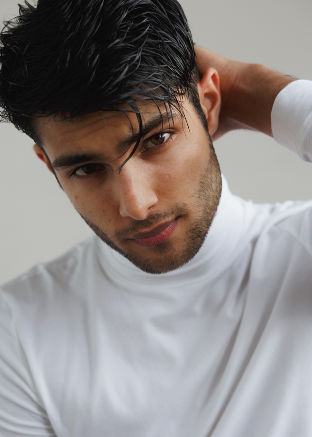Model Image