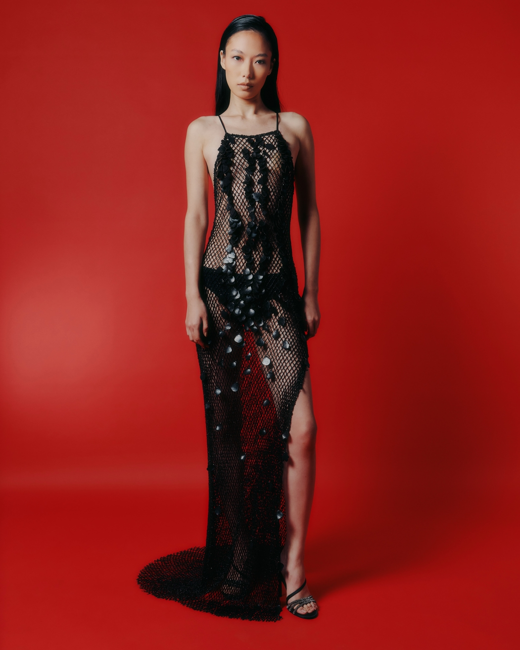 Model Image