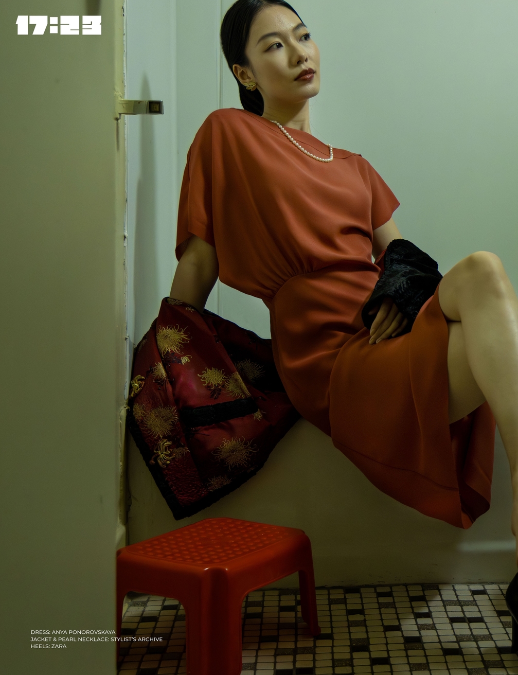 Model Image
