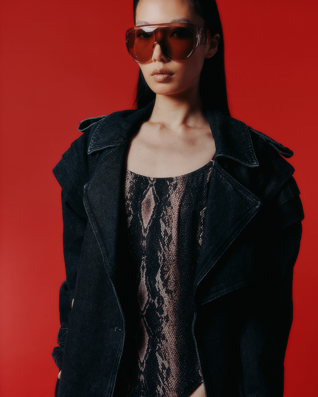 Model Image