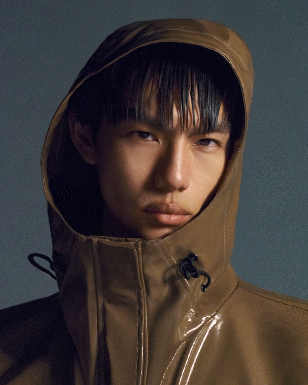 Model Image