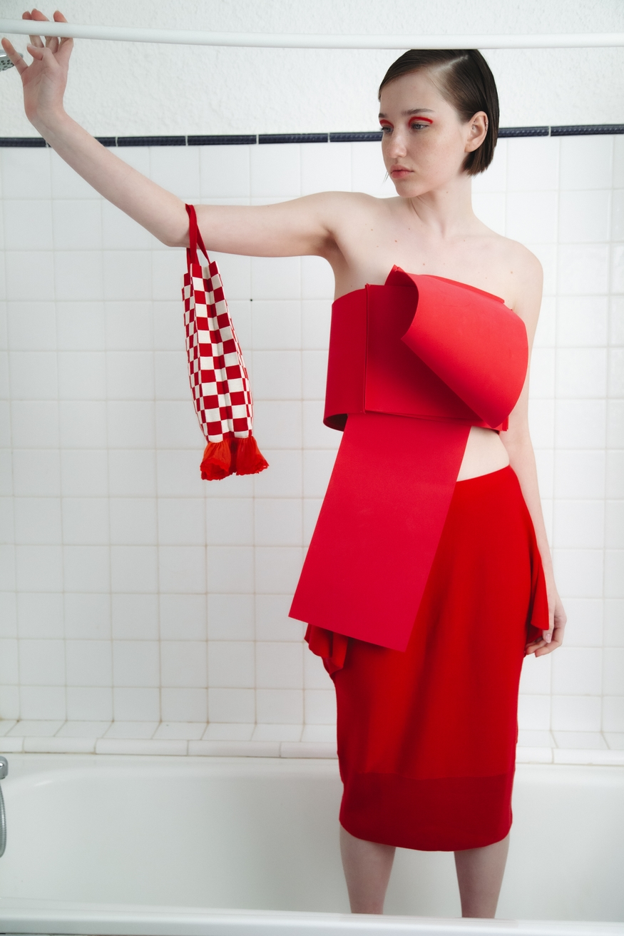Model Image