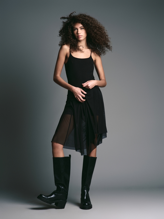 Model Image