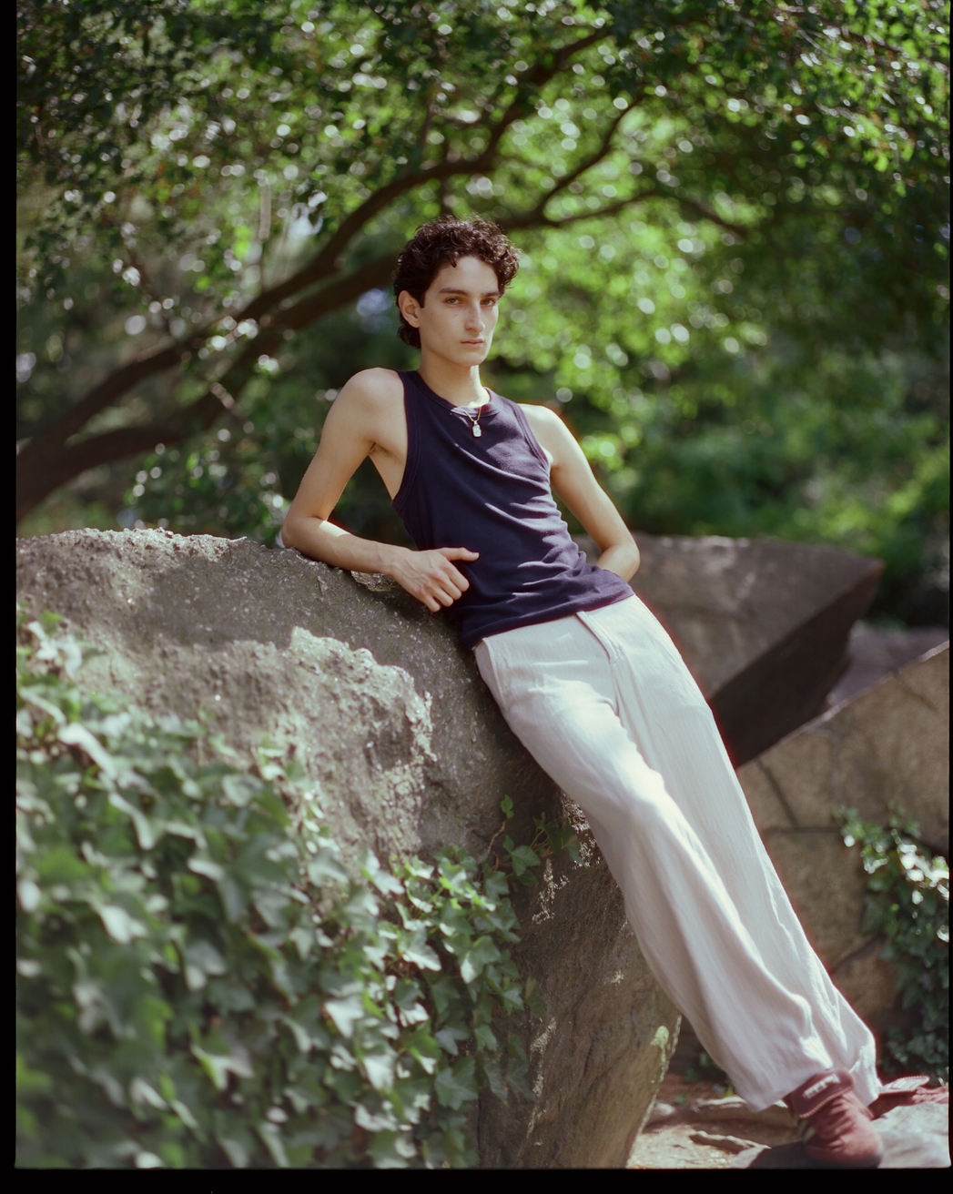 Model Image