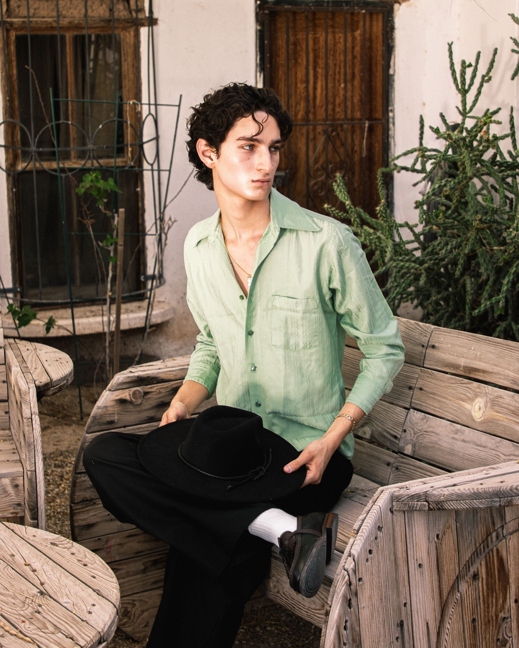 Model Image