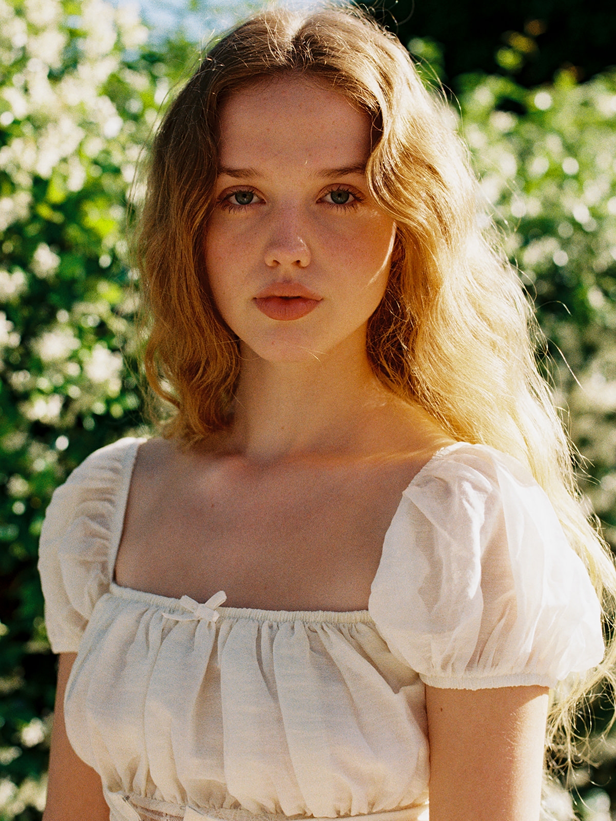 Model Image