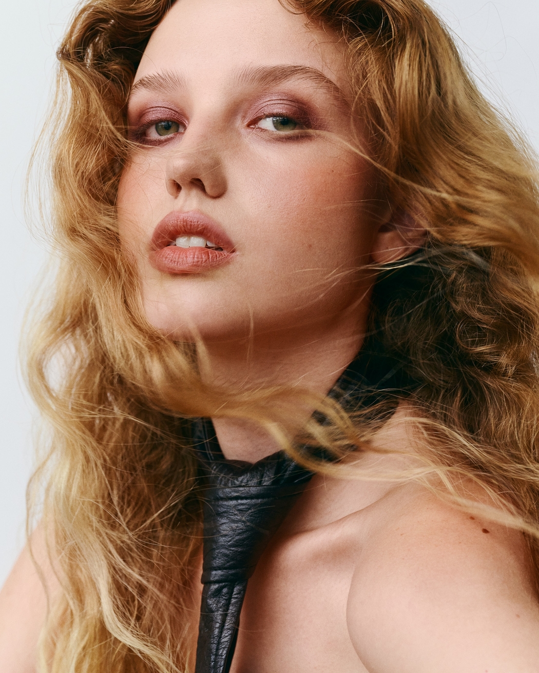 Model Image