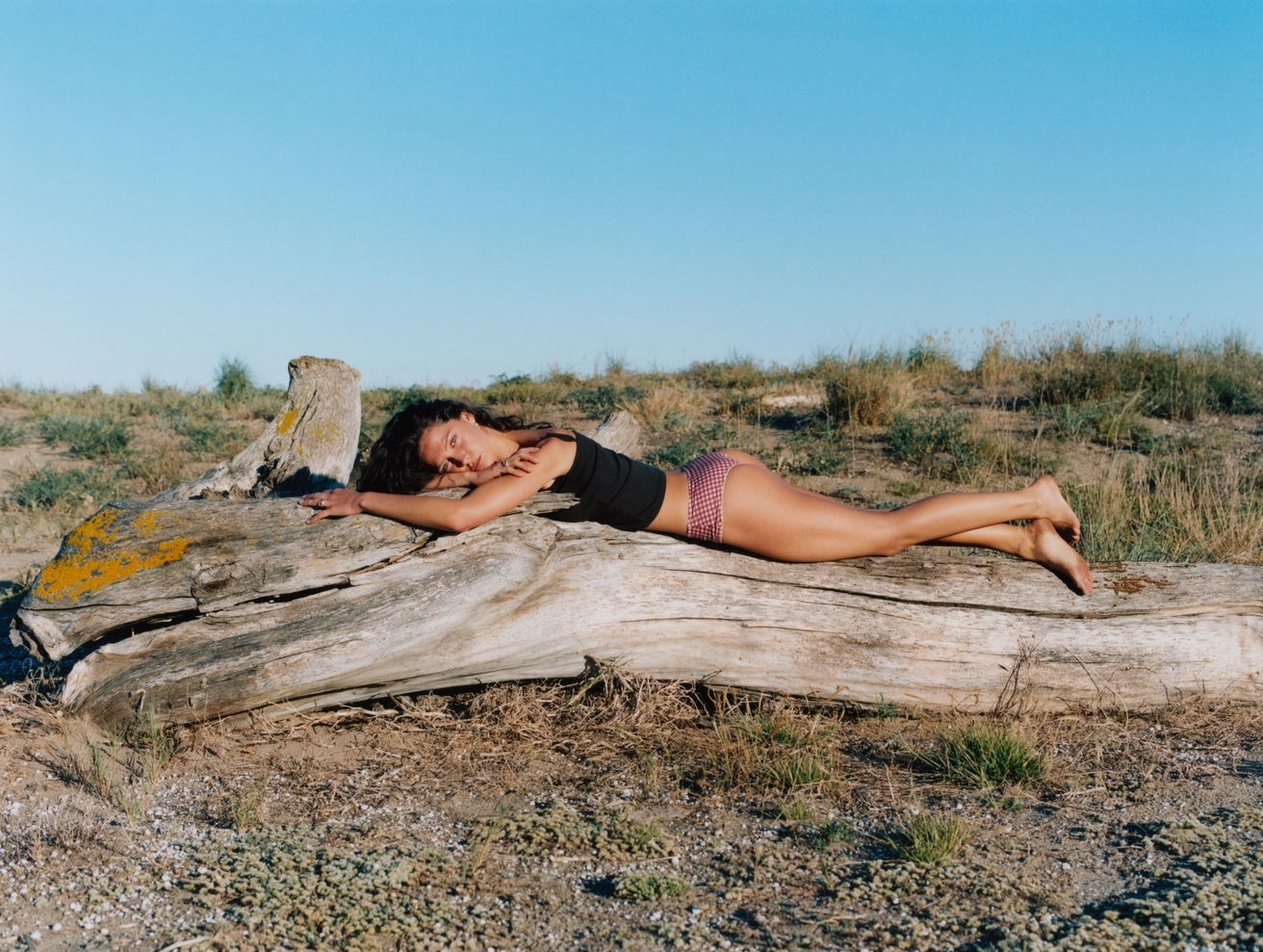 Model Image
