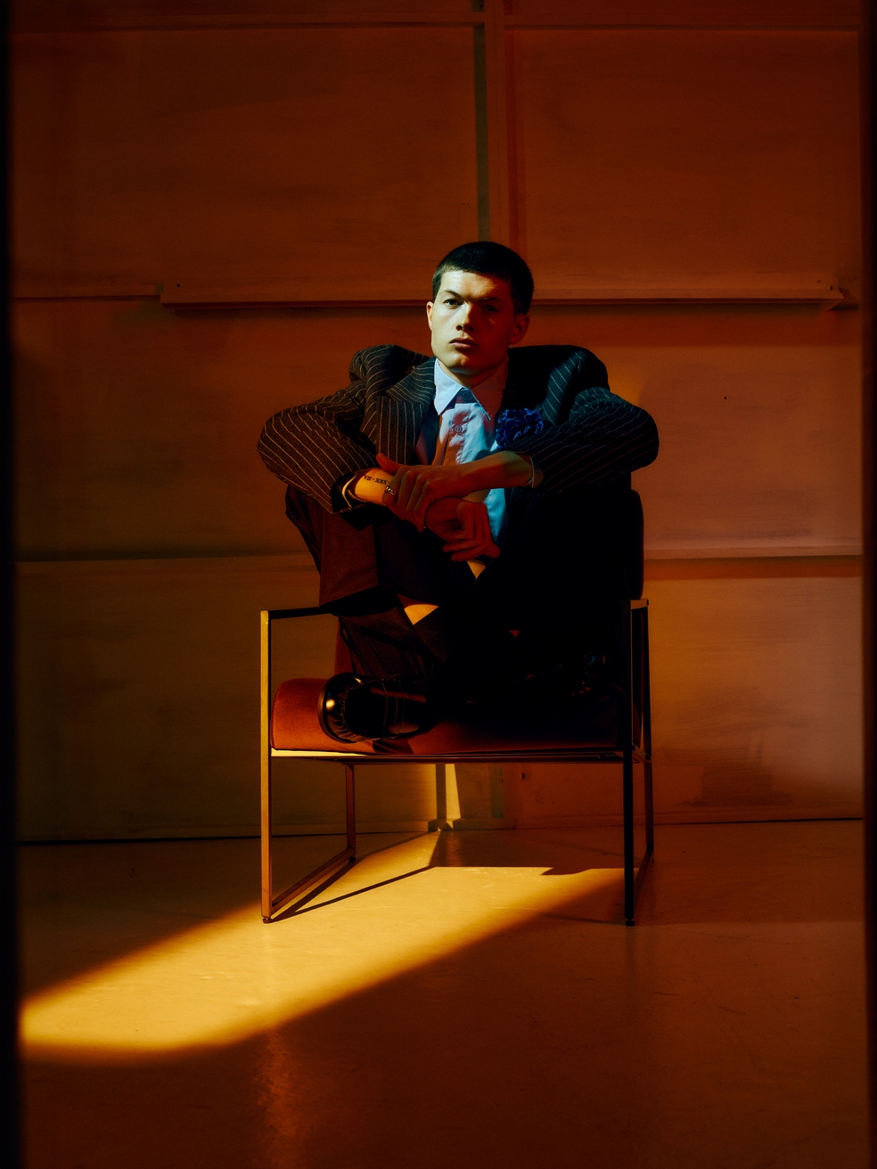 Model Image