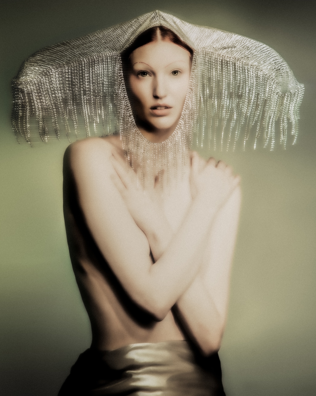 Model Image