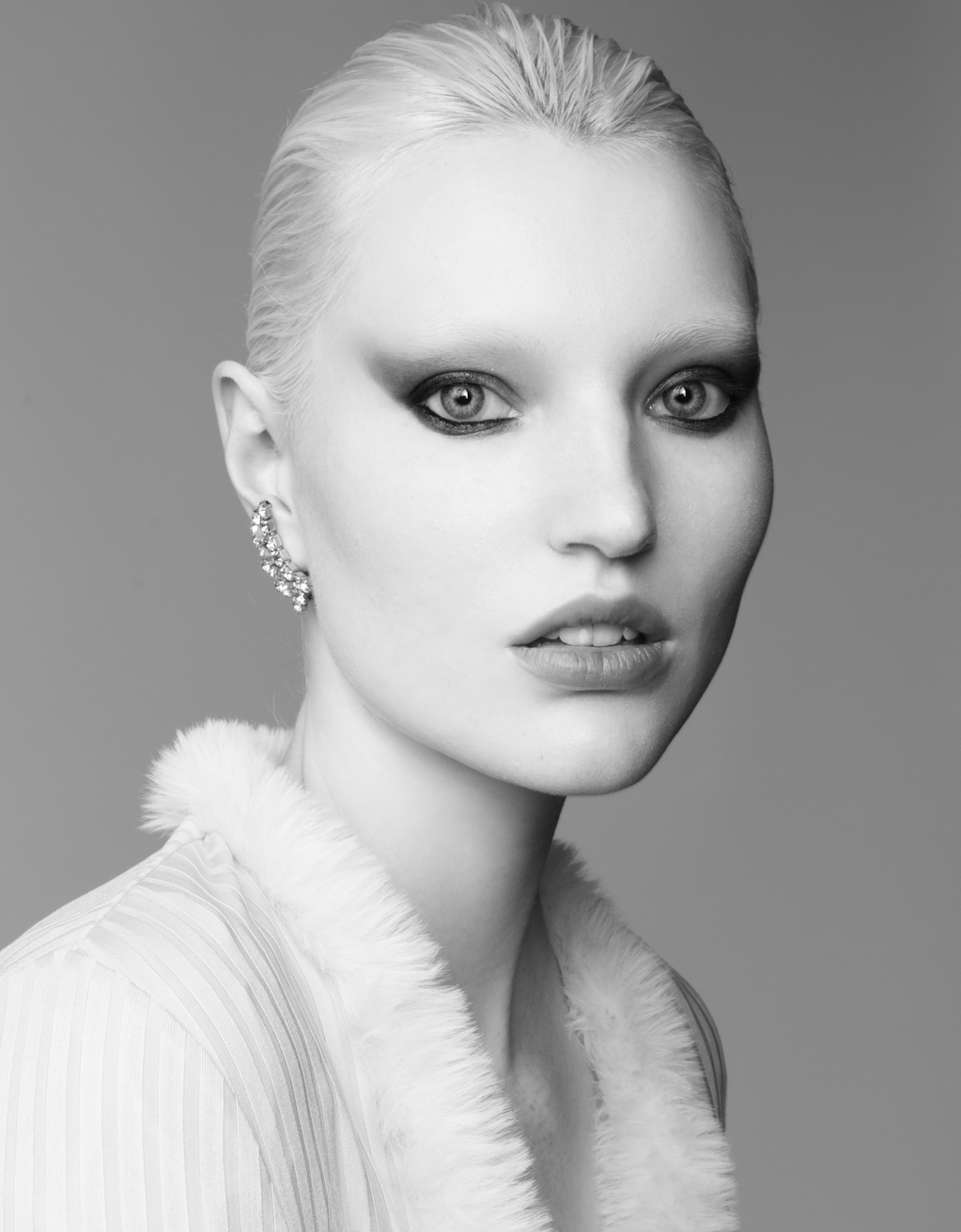 Model Image