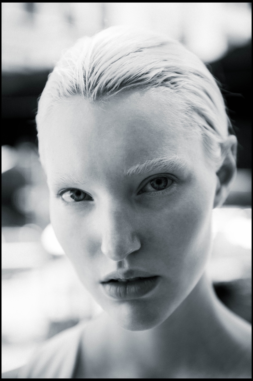 Model Image
