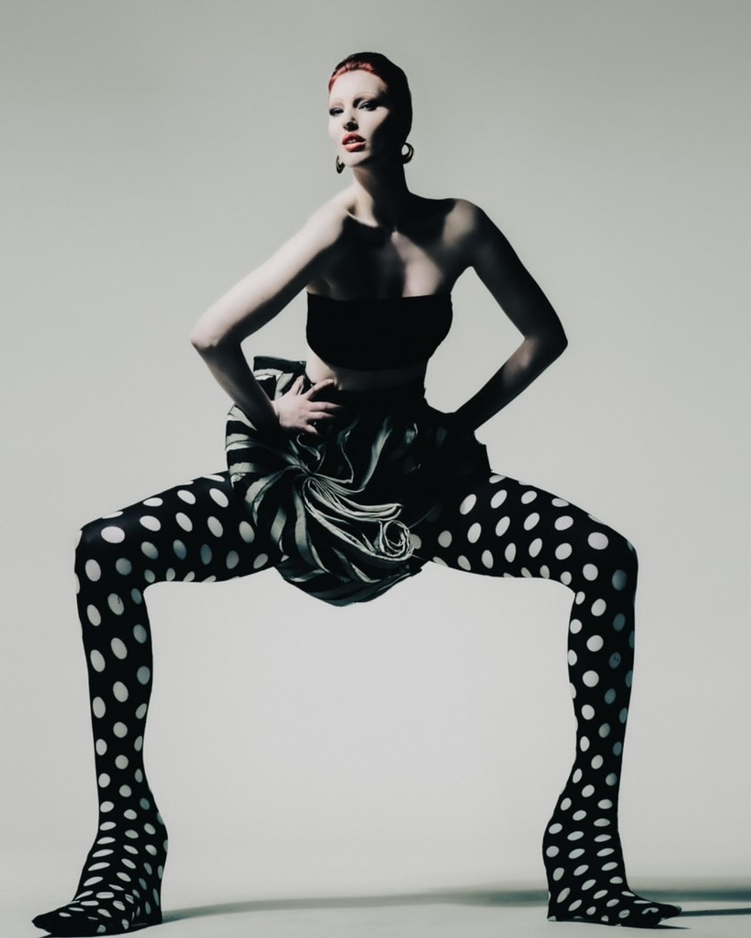 Model Image