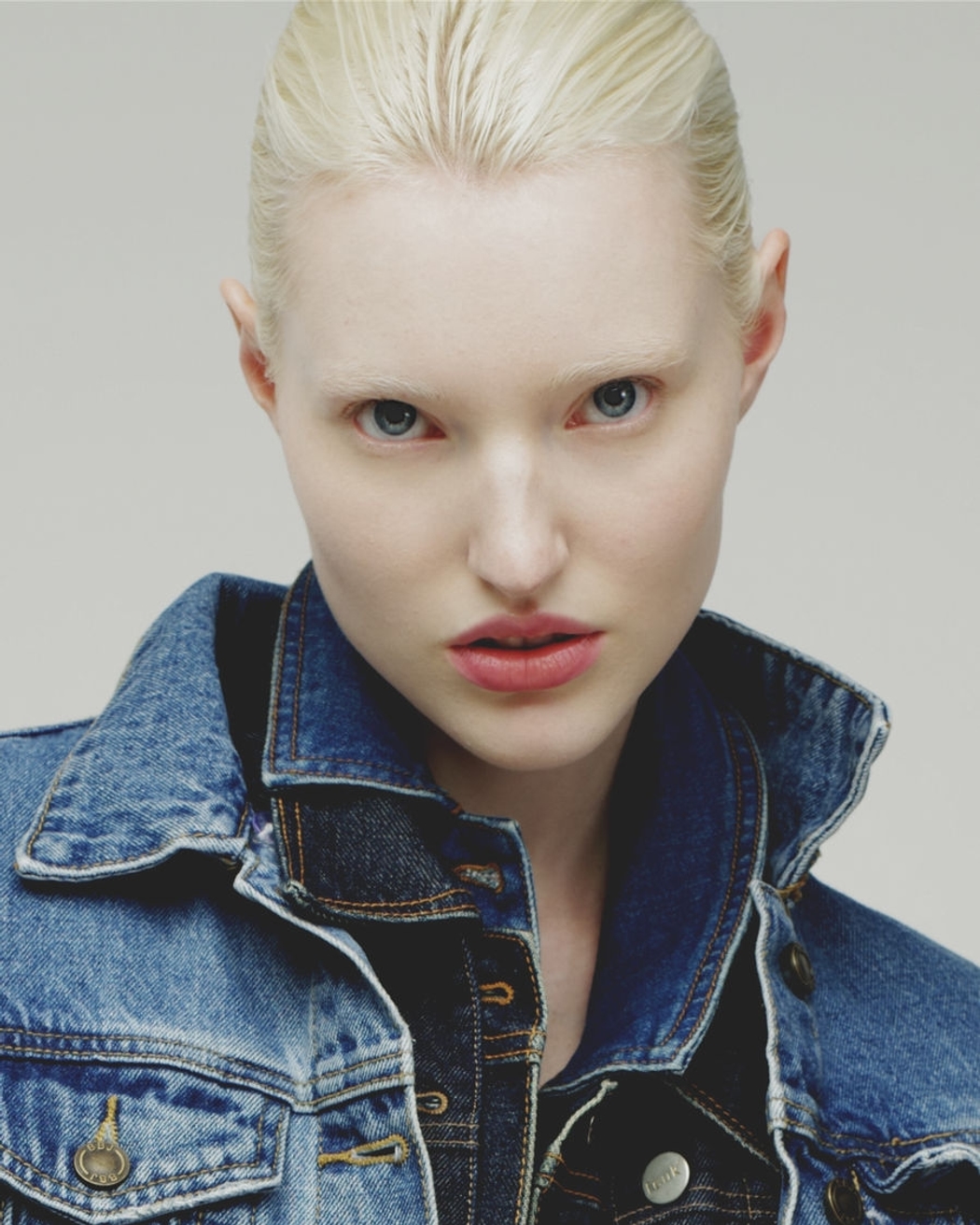 Model Image
