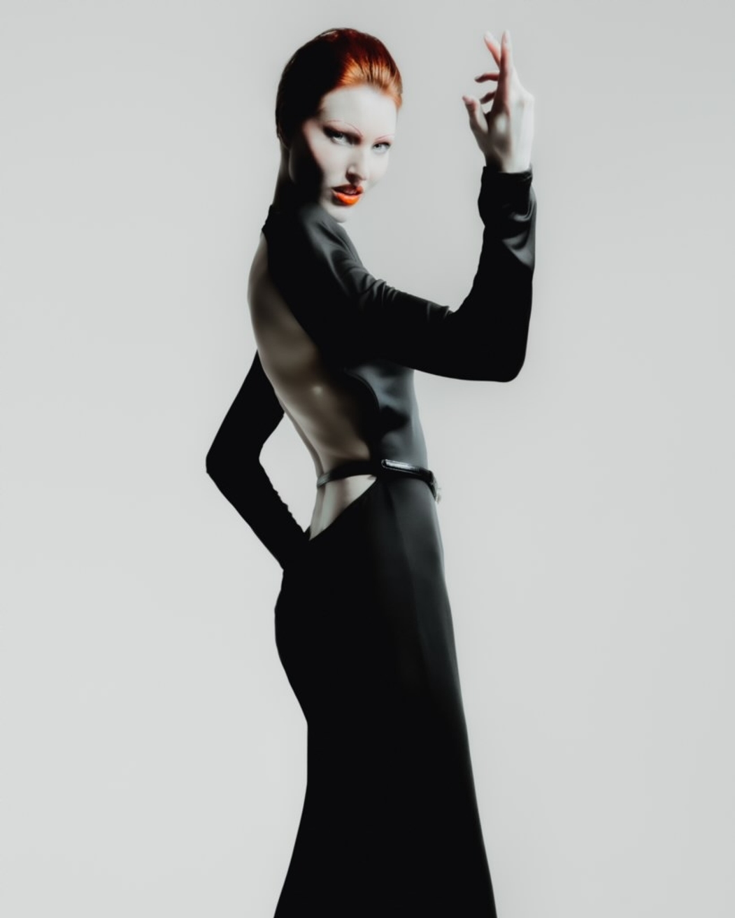 Model Image