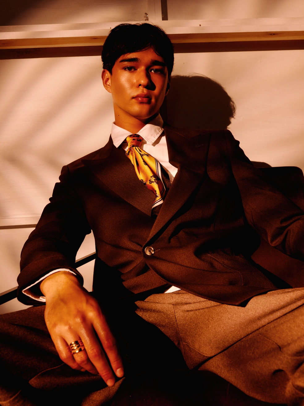Model Image