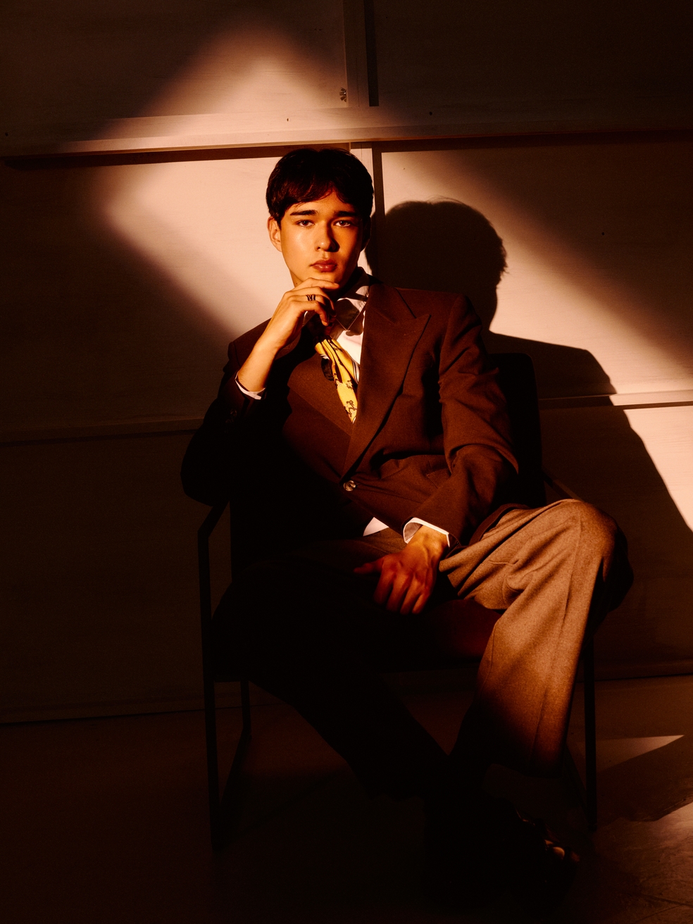 Model Image