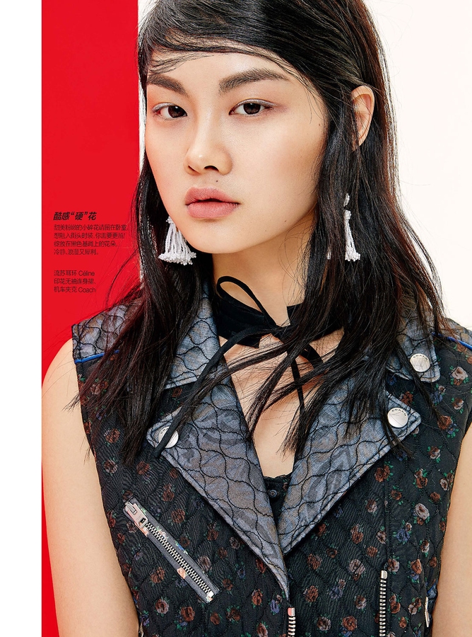 Model Image