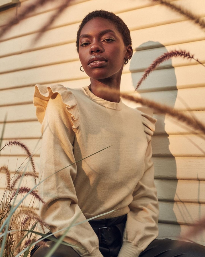 Model Image