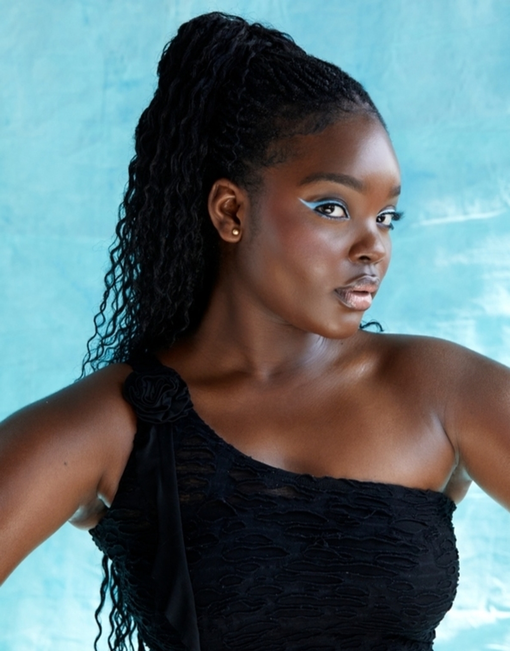 Model Image