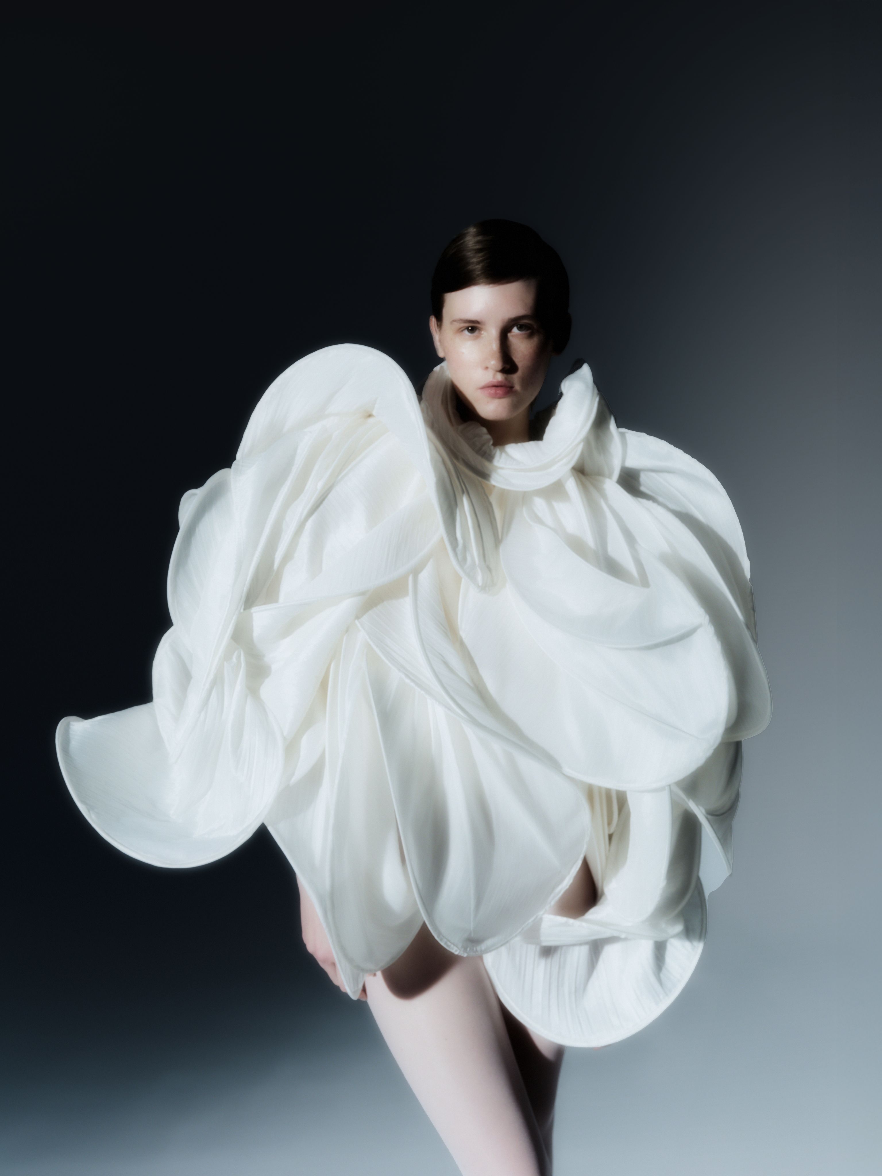 Model Image