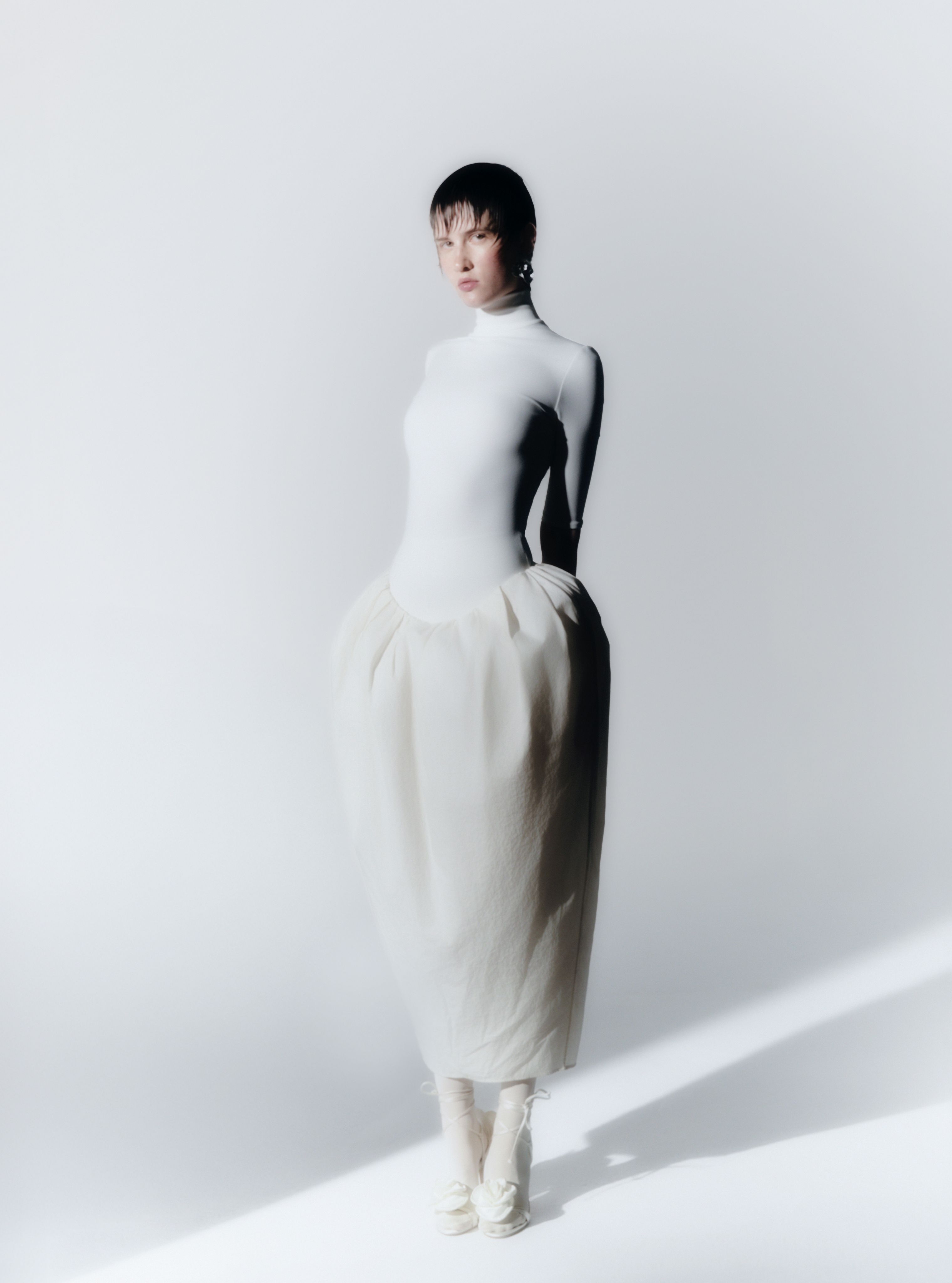 Model Image