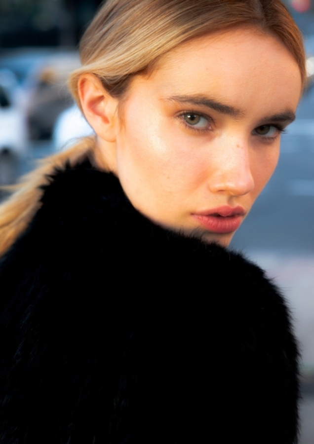 Model Image