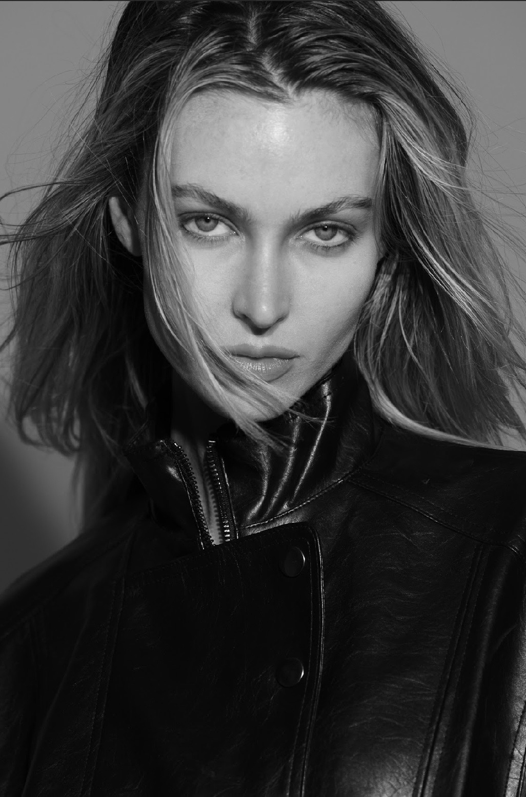 Model Image