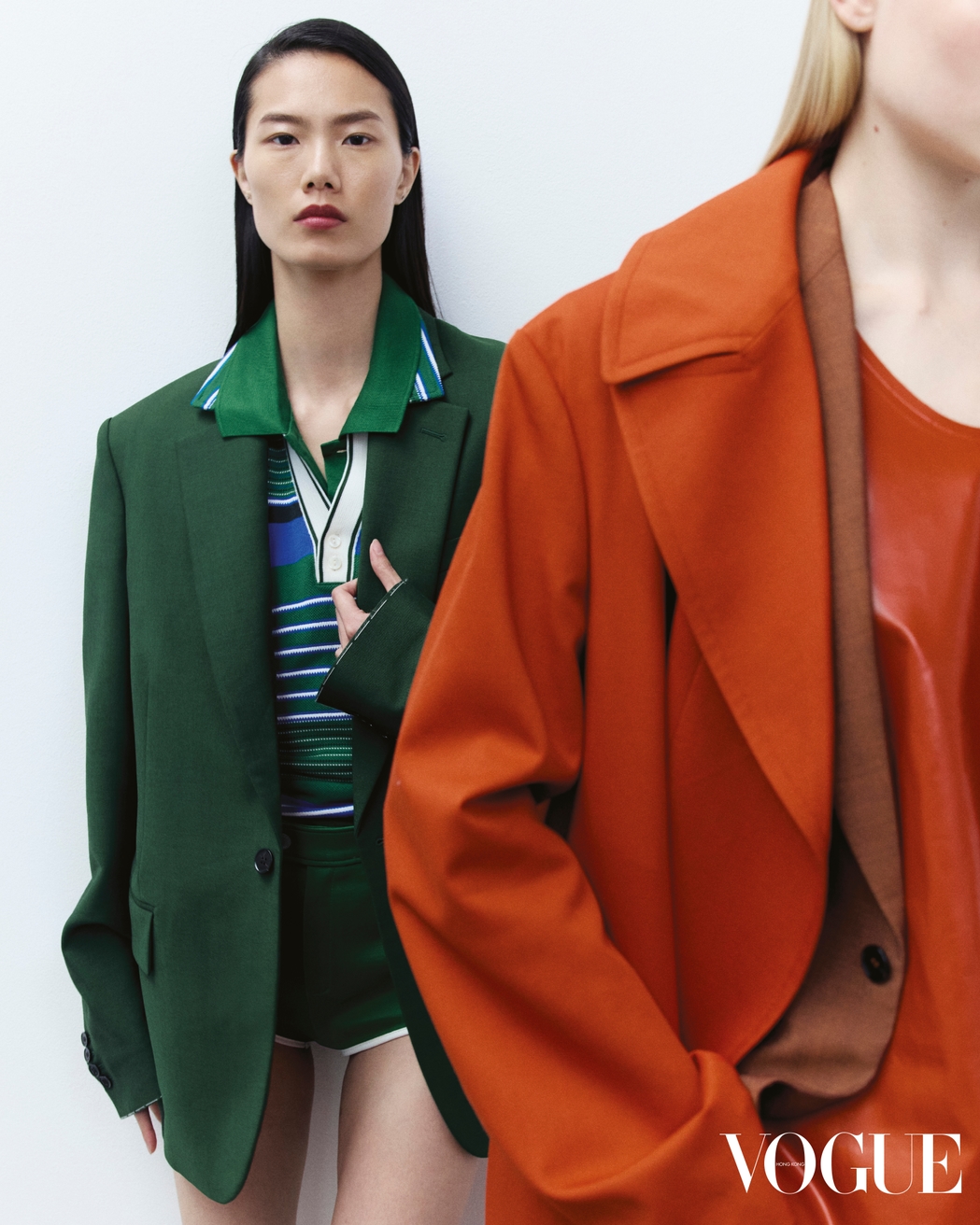 Model Image