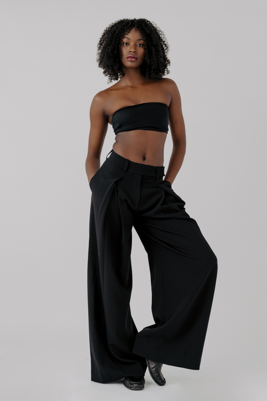 Model Image