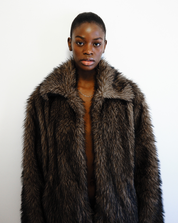 Model Image