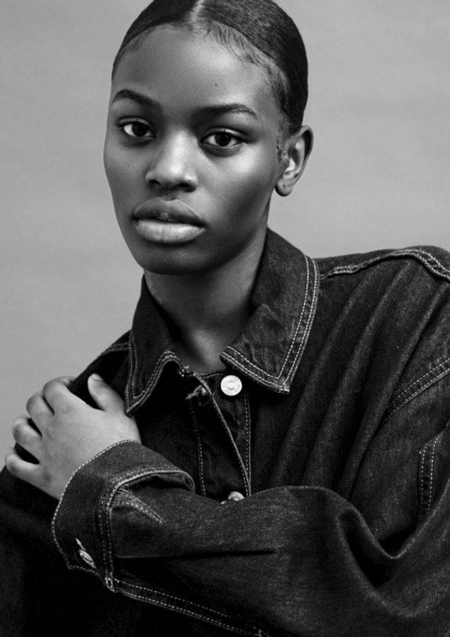 Model Image
