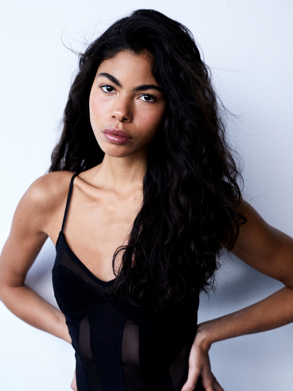 Model Image