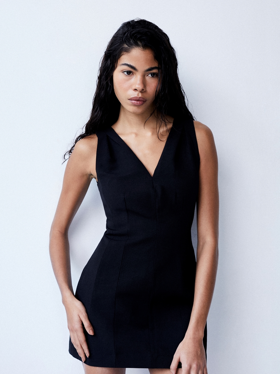 Model Image