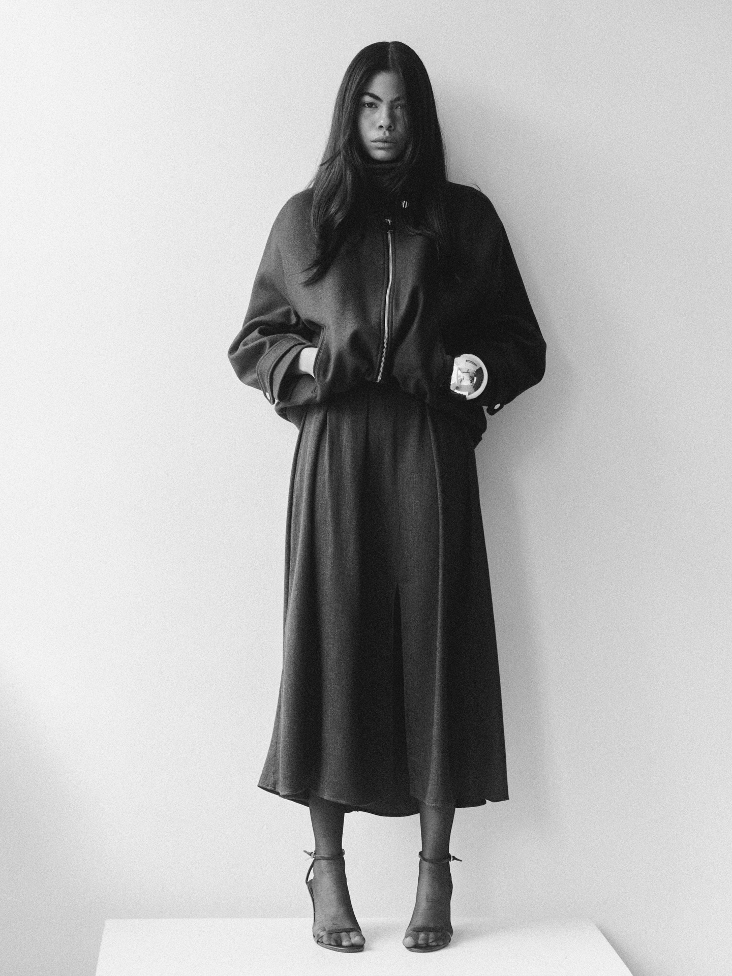 Model Image