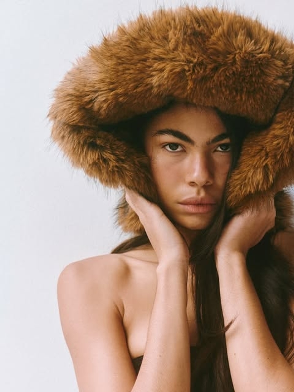 Model Image