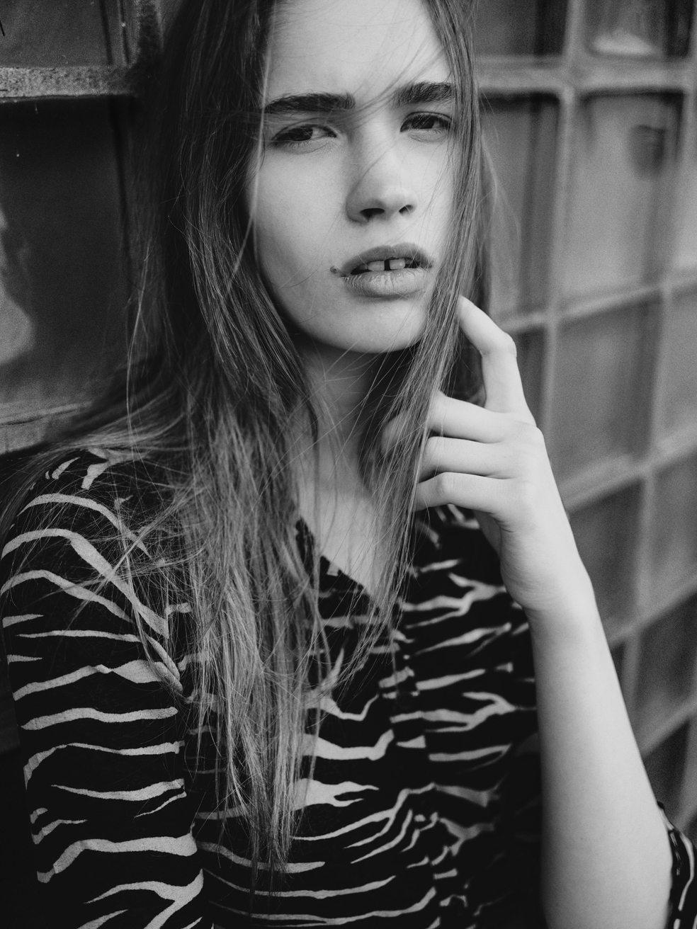 Model Image