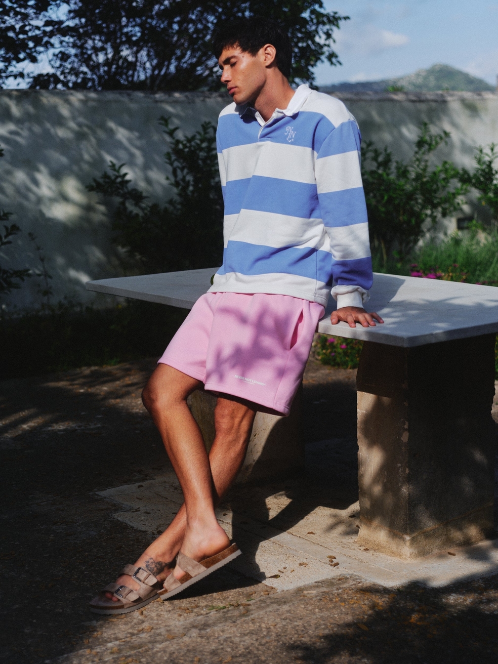 Model Image