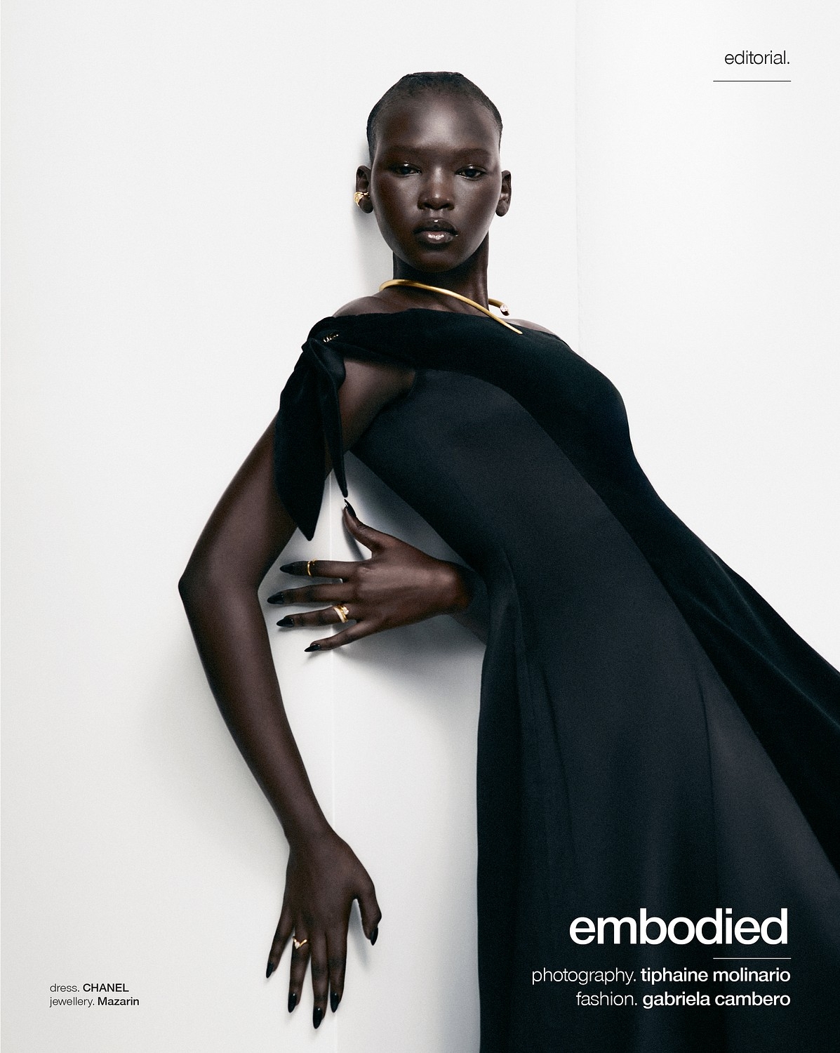 Model Image