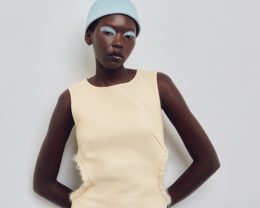 Model Image