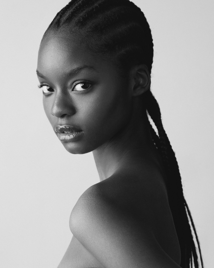 Model Image