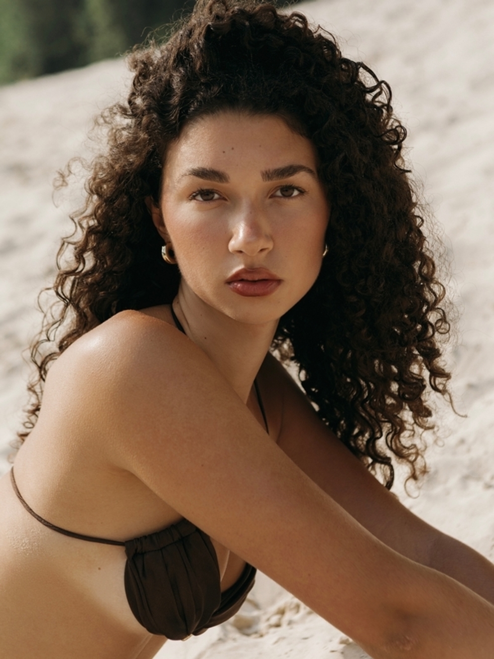 Model Image