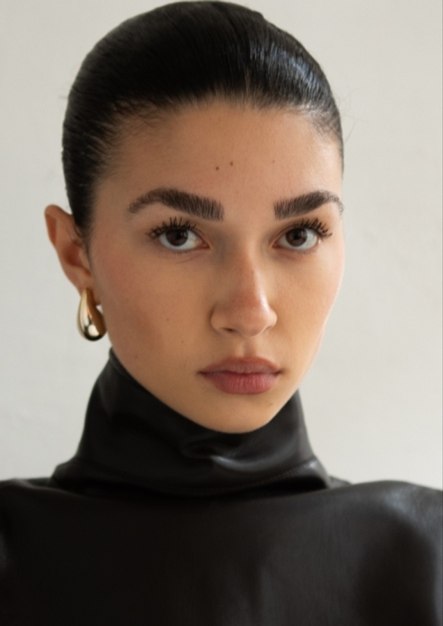 Model Image