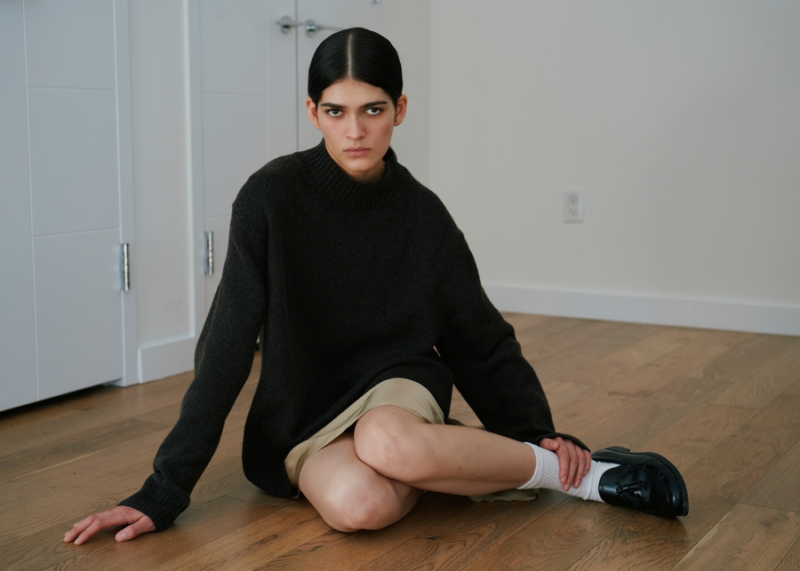 Model Image
