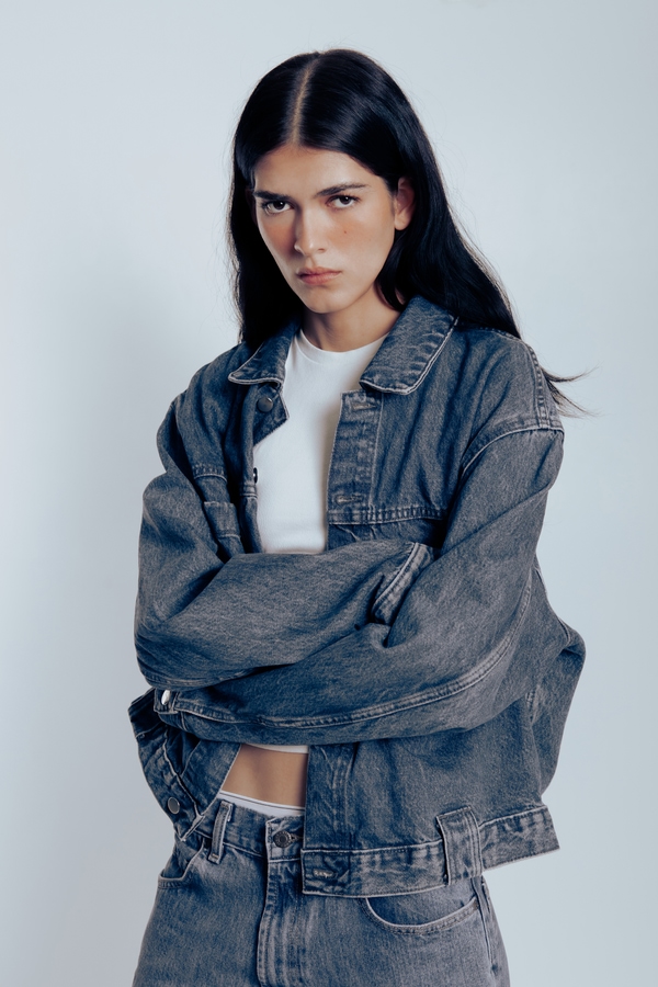 Model Image
