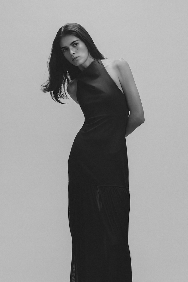 Model Image